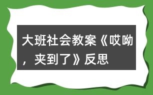 大班社會(huì)教案《哎呦，夾到了》反思