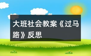 大班社會(huì)教案《過(guò)馬路》反思