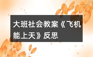 大班社會教案《飛機(jī)能上天》反思