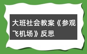 大班社會(huì)教案《參觀(guān)飛機(jī)場(chǎng)》反思