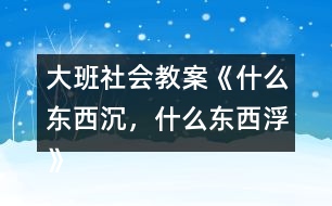 大班社會(huì)教案《什么東西沉，什么東西浮》反思