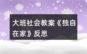 大班社會(huì)教案《獨(dú)自在家》反思