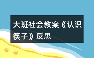 大班社會教案《認(rèn)識筷子》反思