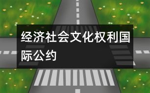 經(jīng)濟、社會、文化權(quán)利國際公約
