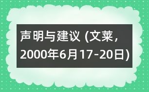 聲明與建議 (文萊，2000年6月17-20日)