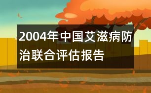 2004年中國艾滋病防治聯(lián)合評(píng)估報(bào)告