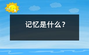 記憶是什么？