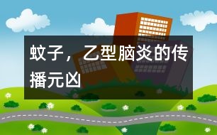蚊子，乙型腦炎的傳播元兇