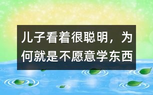 兒子看著很聰明，為何就是不愿意學(xué)東西