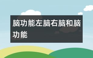 腦功能,左腦、右腦和腦功能