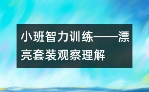 小班智力訓(xùn)練――漂亮套裝（觀察、理解、判斷、語言）