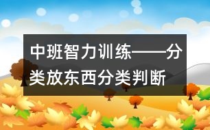 中班智力訓(xùn)練――分類放東西（分類、判斷、習(xí)慣、記憶）
