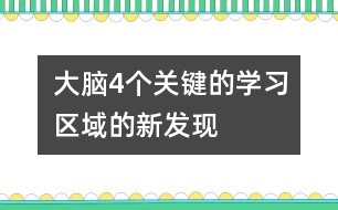 大腦4個關(guān)鍵的學習區(qū)域的新發(fā)現(xiàn)