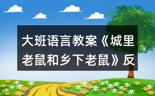 大班語(yǔ)言教案《城里老鼠和鄉(xiāng)下老鼠》反思