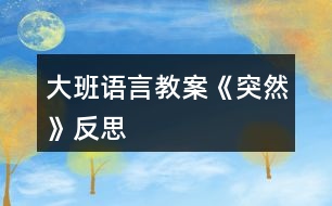 大班語(yǔ)言教案《突然》反思
