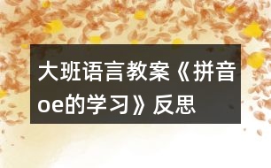 大班語言教案《拼音o、e的學(xué)習(xí)》反思