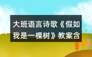 大班語言詩(shī)歌《假如我是一棵樹》教案含活動(dòng)評(píng)析反思
