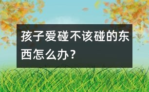 孩子愛碰不該碰的東西怎么辦？