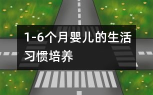 1-6個月嬰兒的生活習(xí)慣培養(yǎng)