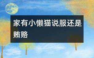 家有小懶貓：說(shuō)服還是賄賂