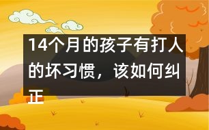 14個月的孩子有打人的壞習慣，該如何糾正