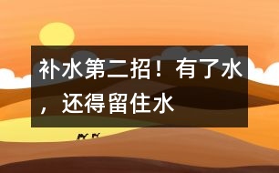補(bǔ)水第二招！有了水，還得留住水