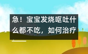 急！寶寶發(fā)燒嘔吐什么都不吃，如何治療――康宏回答