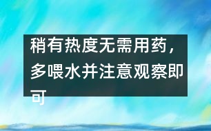 稍有熱度無需用藥，多喂水并注意觀察即可