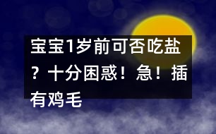 寶寶1歲前可否吃鹽?十分困惑!急!插有雞毛的求助信!??!