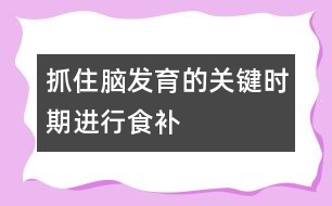 抓住腦發(fā)育的關鍵時期進行食補