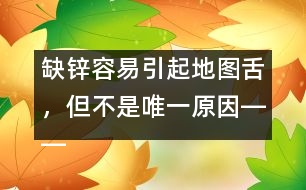 缺鋅容易引起地圖舌，但不是唯一原因――洪昭毅回答