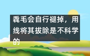 毳毛會(huì)自行褪掉，用線將其拔除是不科學(xué)的
