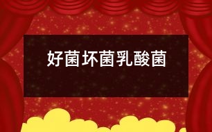 好菌、壞菌、乳酸菌