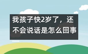 我孩子快2歲了，還不會(huì)說(shuō)話是怎么回事――林茅回答