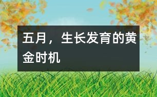 五月，生長發(fā)育的黃金時機