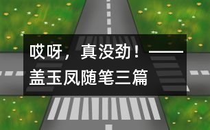 “哎呀，真沒(méi)勁！”――蓋玉鳳隨筆三篇