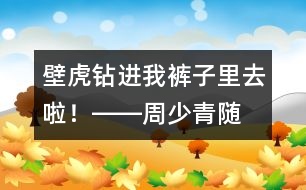 “壁虎”鉆進我褲子里去啦！――周少青隨筆兩篇