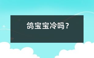鴿寶寶冷嗎？