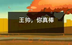 王帥，你真棒