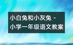 小白兔和小灰兔 - 小學(xué)一年級(jí)語文教案