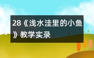 28《淺水洼里的小魚》教學(xué)實錄