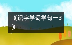 《識字學(xué)詞學(xué)句（一）3》