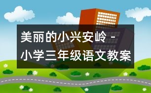 美麗的小興安嶺 - 小學三年級語文教案