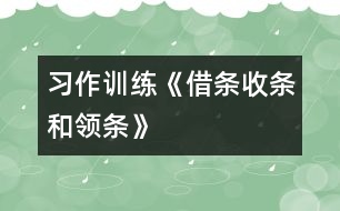 （習(xí)作訓(xùn)練）《借條、收條和領(lǐng)條》