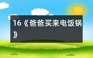 16《爸爸買(mǎi)來(lái)電飯鍋》