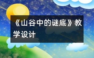 《山谷中的謎底》教學(xué)設(shè)計