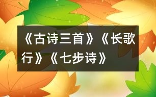 《古詩三首》《長歌行》、《七步詩》、《出塞》教學(xué)設(shè)計(jì)之一