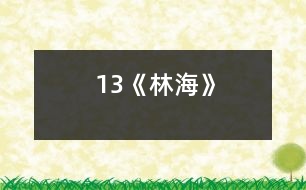 13《林海》