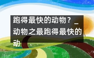 跑得最快的動物？_動物之最：跑得最快的動物？