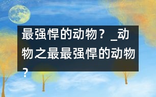 最強(qiáng)悍的動(dòng)物？_動(dòng)物之最：最強(qiáng)悍的動(dòng)物？